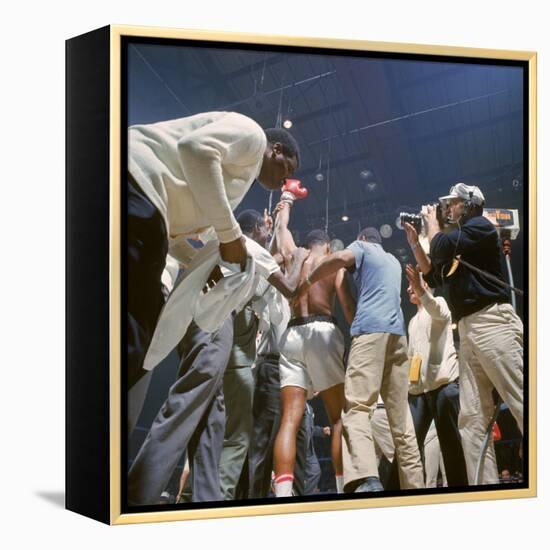 Boxer Cassius Clay, aka Muhammad Ali, Raising Fist in Triumph After Beating Sonny Liston-John Dominis-Framed Premier Image Canvas