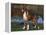 Boxer Dog, Illinois, USA-Lynn M^ Stone-Framed Premier Image Canvas