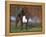 Boxer Dog, Illinois, USA-Lynn M. Stone-Framed Premier Image Canvas