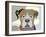 Boxer Dog-Adefioye Lanre-Framed Giclee Print