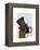 Boxer, Formal Hound and Hat-Fab Funky-Framed Stretched Canvas