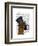 Boxer, Formal Hound and Hat-Fab Funky-Framed Art Print