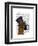 Boxer, Formal Hound and Hat-Fab Funky-Framed Art Print