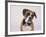 Boxer in a Bow Tie-DLILLC-Framed Photographic Print