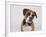 Boxer in a Bow Tie-DLILLC-Framed Photographic Print