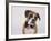 Boxer in a Bow Tie-DLILLC-Framed Photographic Print