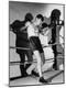 Premium Photographic Print