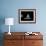 Boxer Joe Frazier Sitting on a Chair under a Spotlight-John Shearer-Framed Premium Photographic Print displayed on a wall