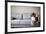 Boxer Mix Dog Laying on Gray Sofa at Home Looking in Window-Anna Hoychuk-Framed Photographic Print