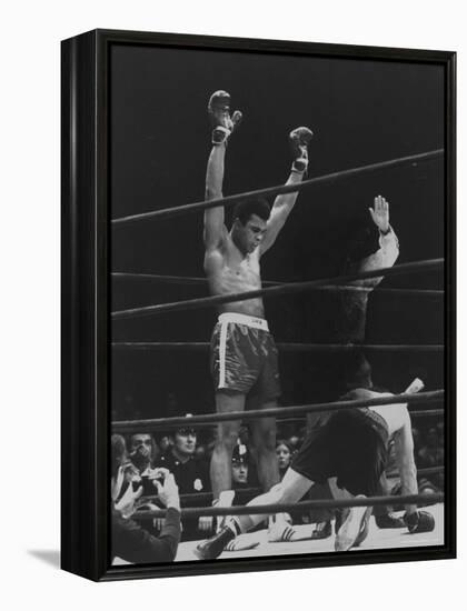 Boxer Muhammad Ali Raising His Gloves Victoriously After Knocking Out Oscar Bonavena-Bill Ray-Framed Premier Image Canvas