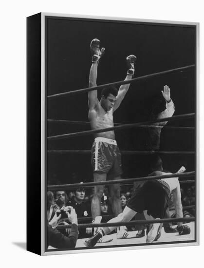 Boxer Muhammad Ali Raising His Gloves Victoriously After Knocking Out Oscar Bonavena-Bill Ray-Framed Premier Image Canvas