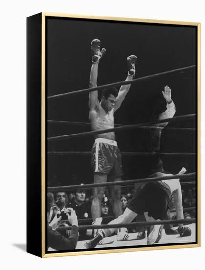 Boxer Muhammad Ali Raising His Gloves Victoriously After Knocking Out Oscar Bonavena-Bill Ray-Framed Premier Image Canvas