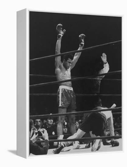 Boxer Muhammad Ali Raising His Gloves Victoriously After Knocking Out Oscar Bonavena-Bill Ray-Framed Premier Image Canvas