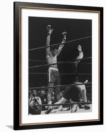 Boxer Muhammad Ali Raising His Gloves Victoriously After Knocking Out Oscar Bonavena-Bill Ray-Framed Premium Photographic Print