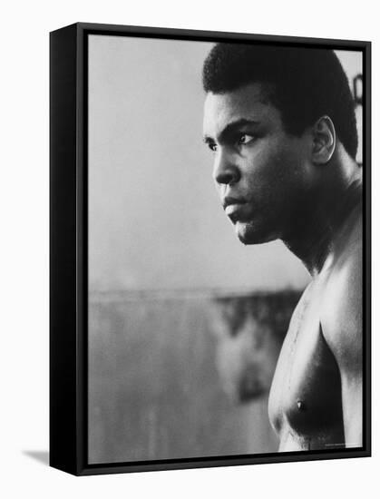 Boxer Muhammad Ali Training for a Fight Against Joe Frazier-John Shearer-Framed Premier Image Canvas