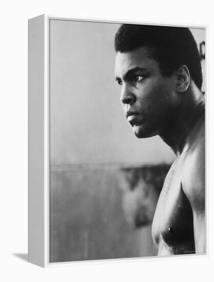 Boxer Muhammad Ali Training for a Fight Against Joe Frazier-John Shearer-Framed Premier Image Canvas