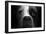 Boxer Pup-Lori Hutchison-Framed Photographic Print