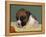 Boxer Puppy, USA-Lynn M. Stone-Framed Premier Image Canvas