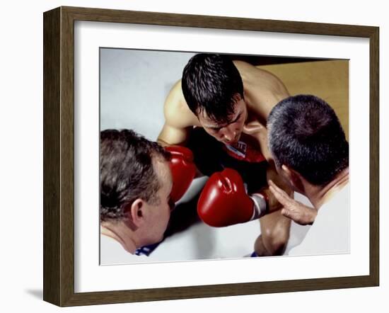 Boxer Receiving Advice-null-Framed Photographic Print