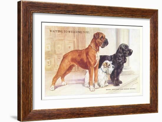 Boxer, Sealyham, Cocker Spaniel-null-Framed Art Print