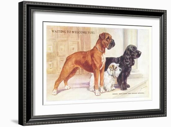 Boxer, Sealyham, Cocker Spaniel-null-Framed Art Print