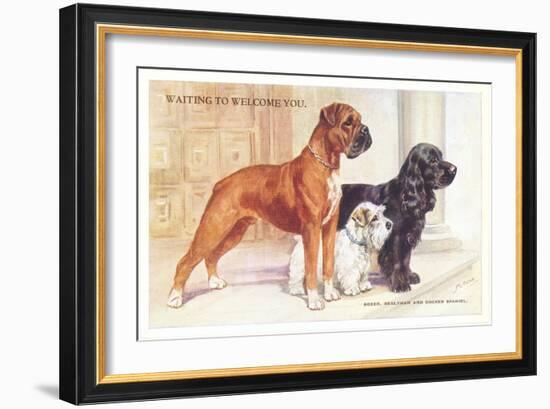 Boxer, Sealyham, Cocker Spaniel-null-Framed Art Print