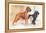 Boxer, Sealyham, Cocker Spaniel-null-Framed Stretched Canvas