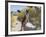 Boxer Standing by Garden Pathway-Zandria Muench Beraldo-Framed Photographic Print