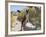 Boxer Standing by Garden Pathway-Zandria Muench Beraldo-Framed Photographic Print