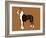 Boxer Word 2-Karen Williams-Framed Giclee Print