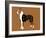 Boxer Word 2-Karen Williams-Framed Giclee Print