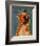 Boxer-John Golden-Framed Art Print