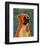 Boxer-John Golden-Framed Art Print