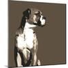 Boxer-Emily Burrowes-Mounted Giclee Print