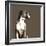 Boxer-Emily Burrowes-Framed Art Print