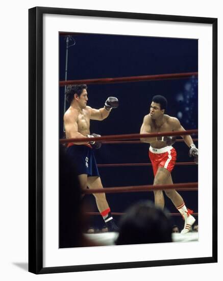 Boxers Cassius Clay and Oscar Bonavena Fighting at Madison Square Garden-Bill Ray-Framed Premium Photographic Print