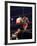 Boxers Cassius Clay and Oscar Bonavena Fighting at Madison Square Garden-Bill Ray-Framed Premium Photographic Print