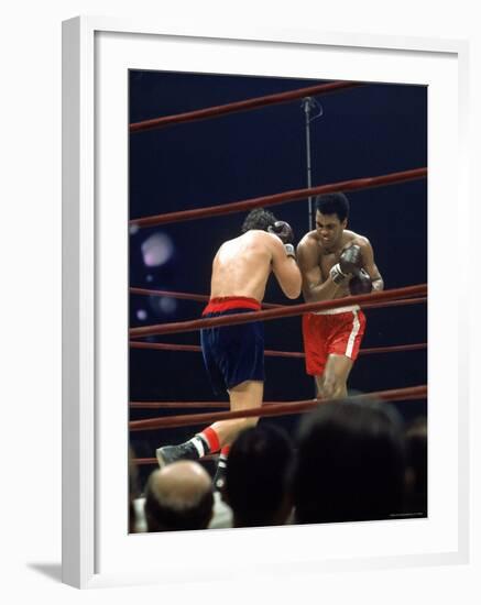 Boxers Cassius Clay and Oscar Bonavena Fighting at Madison Square Garden-Bill Ray-Framed Premium Photographic Print