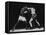 Boxers Competing in Golden Gloves Bout, 1940-Gjon Mili-Framed Premier Image Canvas