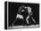 Boxers Competing in Golden Gloves Bout, 1940-Gjon Mili-Framed Premier Image Canvas