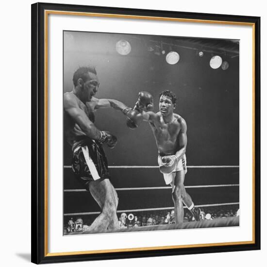 Boxers Ray Robinson and Carmen Basilio Fighting in the Ring-George Silk-Framed Premium Photographic Print