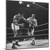 Boxers Ray Robinson and Carmen Basilio Fighting in the Ring-George Silk-Mounted Premium Photographic Print