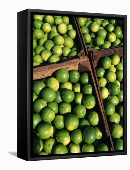 Boxes of Limes, Oxkutzcab Market, Yucatan, Mexico-Paul Harris-Framed Premier Image Canvas