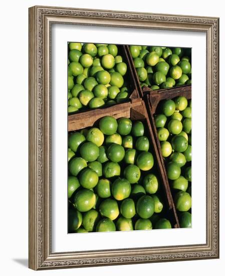 Boxes of Limes, Oxkutzcab Market, Yucatan, Mexico-Paul Harris-Framed Photographic Print