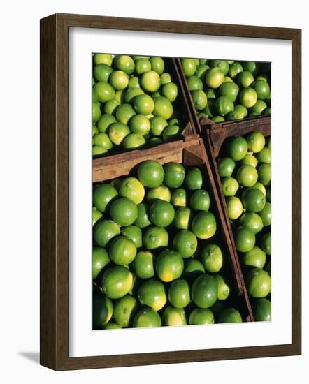 Boxes of Limes, Oxkutzcab Market, Yucatan, Mexico-Paul Harris-Framed Photographic Print