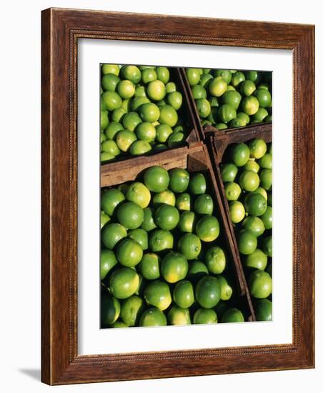 Boxes of Limes, Oxkutzcab Market, Yucatan, Mexico-Paul Harris-Framed Photographic Print