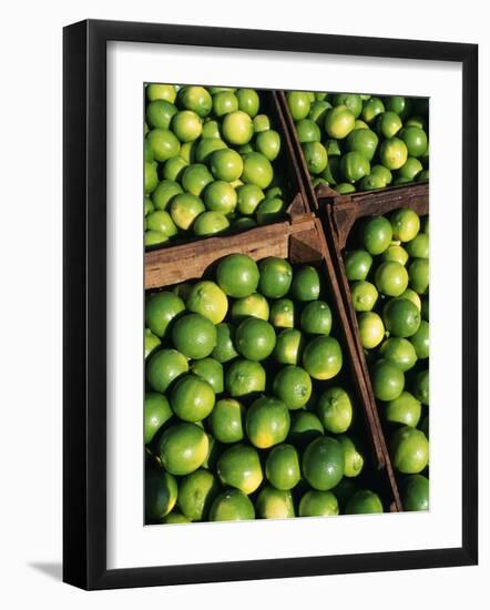 Boxes of Limes, Oxkutzcab Market, Yucatan, Mexico-Paul Harris-Framed Photographic Print