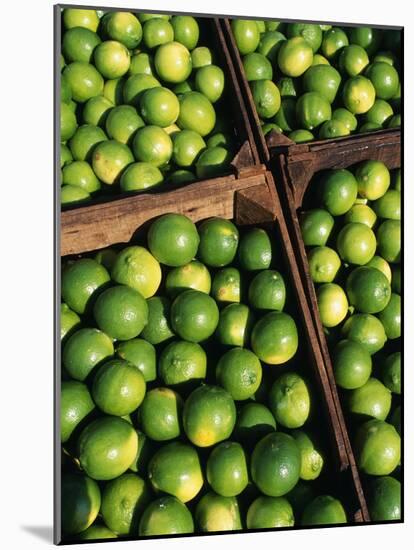 Boxes of Limes, Oxkutzcab Market, Yucatan, Mexico-Paul Harris-Mounted Photographic Print