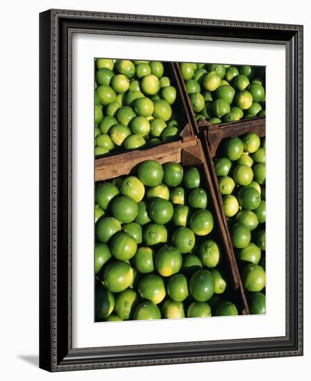 Boxes of Limes, Oxkutzcab Market, Yucatan, Mexico-Paul Harris-Framed Photographic Print