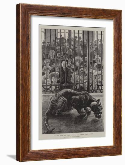 Boxing Day at the Zoo, a Cut from the Joint-Charles Paul Renouard-Framed Giclee Print